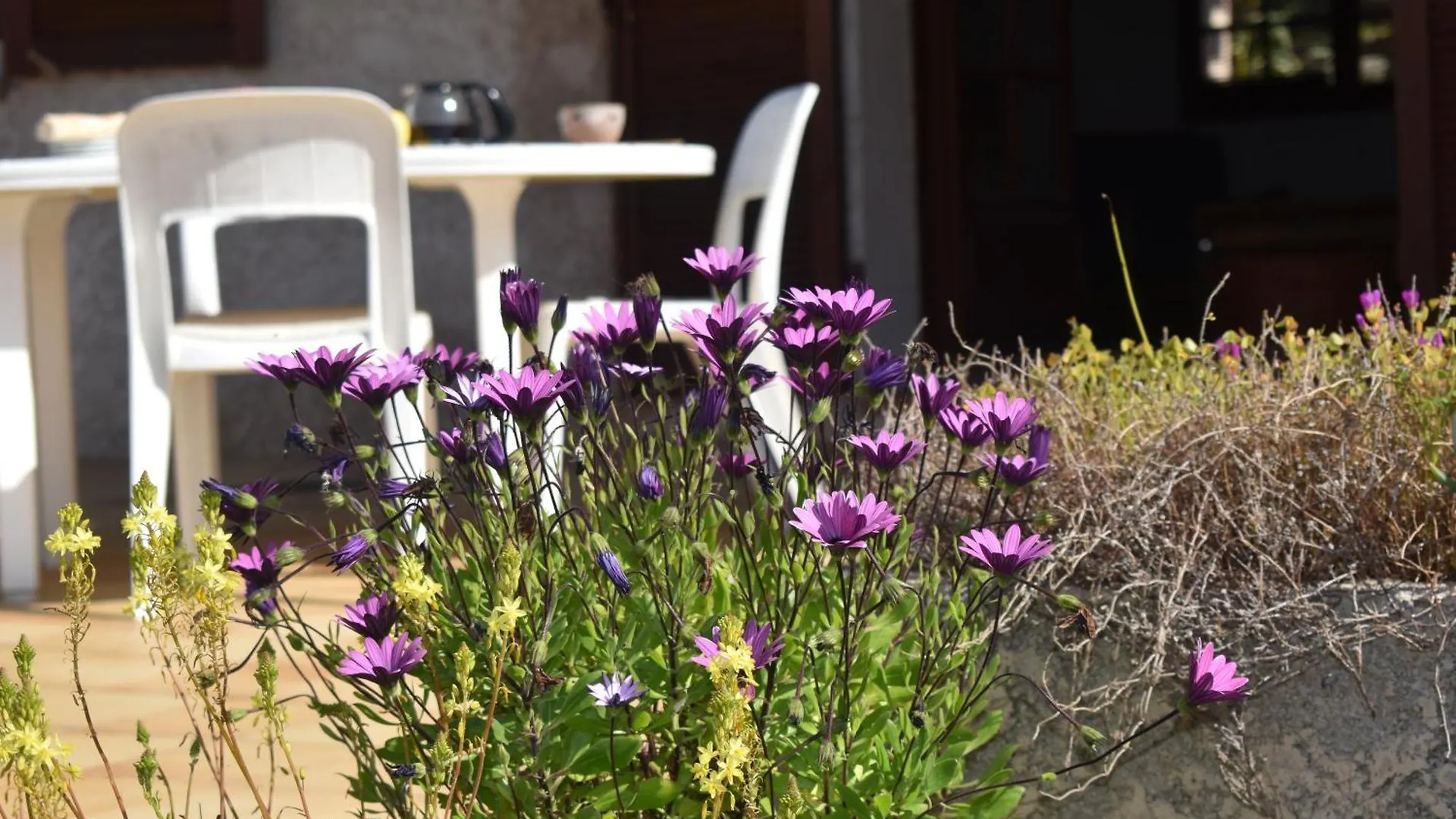 Сasa de vacaciones Petite Maison Provencale Pour 4 Personnes Bormes-les-Mimosas